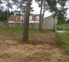 Enfin nous avons notre terrain :) maintenant il reste &agrave; couper les arbres et &ccedil;a promet de longs week-ends.