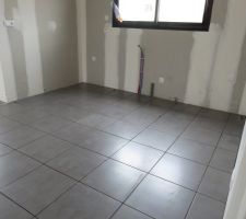 Carrelage Pièces de Vie