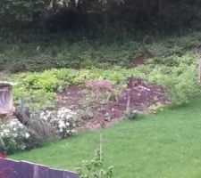 Des visiteurs samedi matin chez le voisin ! Heureusement pour mes salades et mes fraisiers, ils n'ont pas sauté le grillage !