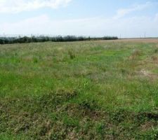 Le voici!!!! sachant qu'apr&egrave;s il y a une parcelle de 7000m&sup2; d&eacute;tenu par les propri&eacute;taires mais totalement non constructible! et &agrave; gauche nous avons des arbres fruitiers!