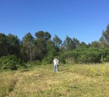 D&eacute;broussaillage