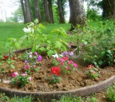 Correction de l'arrondi des massifs d'hortensias et ajout d'impatiences