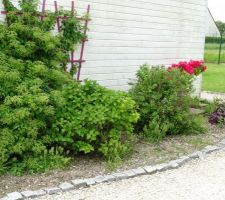 Massif de devant : hortensias, seringat, eucheres et rhododendron en fleur