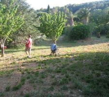 Vue de la surface qu'on appelera surface utile, c'est à dire celle où sera la villa, la partie chemin mise à part ...