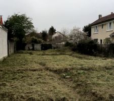 Terrain achet&eacute;: d&eacute;broussaillage fait