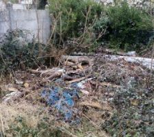 Terrain achet&eacute;: d&eacute;couverte derri&egrave;re amas de terre de gravats et autres ... merci le vendeur