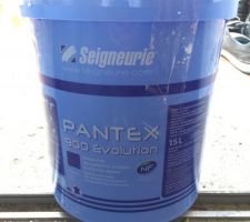 Peinture de plafond Pantex de la Segneurie