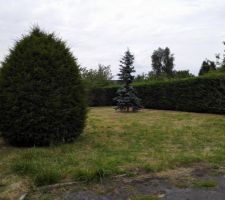 Nettoyage du terrain