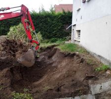 Il y a environ 1 m de hauteur de terre sur 7 m de largeur sur 5 m de profondeur soit 35 m3 de terre a retirer.