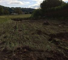 Le terrain en friche