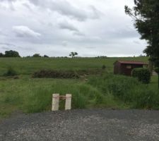 Le terrain débroussaillé