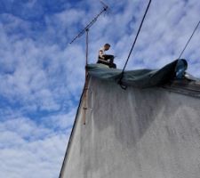 Bien assis sur le chemin&eacute;e