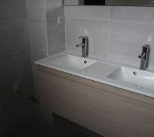 Salle de bains parentale - Installation sanitaires et meubles
Meuble et mirroir