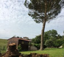 Dessouchage chez le voisin