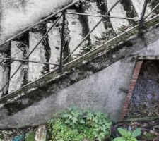 Escalier dans la cour.