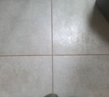 Joints de carrelages avant nettoyage... Apres six mois de vie dans la maison.... ?