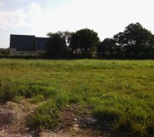 Notre terrain de 555m² avec notre talus au fond