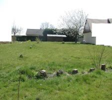 Dos au grillage Nord du terrain