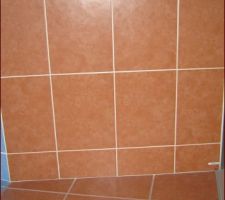 Carrelage Faïence SDB et WC