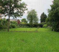 Vue du jardin de l'ancienne maison, suivi de notre terrain. D&eacute;limitation : l'&eacute;rable et la butte de permaculture.