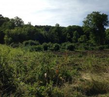 Terrain avant viabilisation.