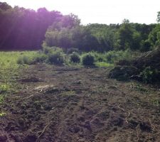 Terrain avant viabilisation.