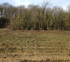 Terrain avant viabilisation.