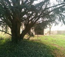 "Cabanon" au fond du terrain