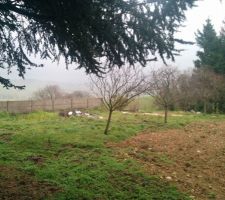 Vue compl&egrave;te du terrain dans sa longueure