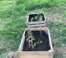 Mon potager mais pas au bon endroit...