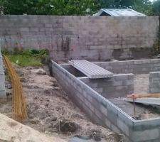 Vide sanitaire 2