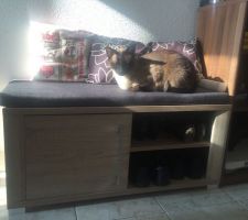 Notre chat a déjà adopté notre nouveau meuble prévu pour l'entrée ;)