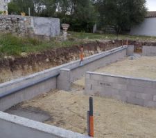 On a prepar&eacute; nous meme le collecteur EU!