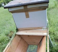 Le paquet d'abeille entre dans la ruche