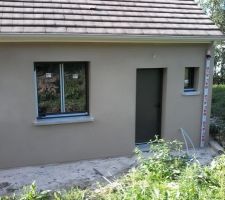 Crepis cendre beige clair