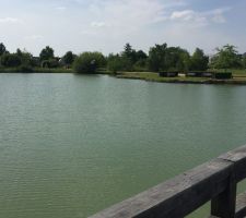 Etang avec sentier de promenade à deux pas de notre maison