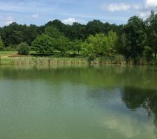 Etang avec sentier de promenade à deux pas de notre maison