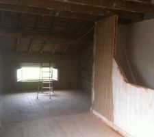 Place au raillage plafond rampant et isolation