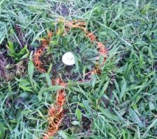 Passage du g&eacute;om&egrave;tre