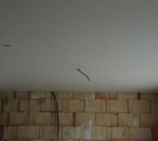 Plaques du plafond