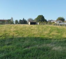 Vue du bas du terrain