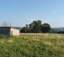Vue du bas du terrain