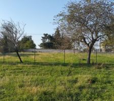 Vue du milieu
du terrain