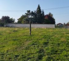 Vue du milieu
du terrain en plein dans le futur garage :-)