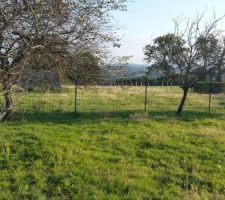 Vue du milieu
du terrain approximativement vers la porte d entrée