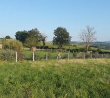 Vue du milieu du terrain cote gauche