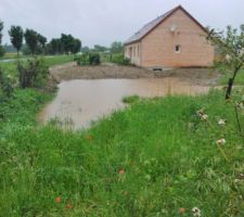 Après plusieurs jours de pluie la terre n'a plus soif!