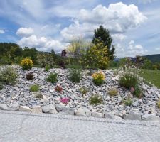 Massif de fleurs