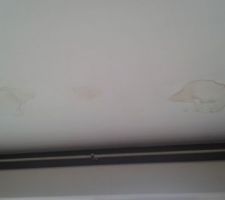 Infiltration d eau dans le salon du a la fen&ecirc;tre jacobine a l &eacute;tage