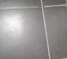 La derniere en date de juin 2016 le carrelage qui a casser et le joint qui se barre sur le sol de la salle de bain .et oui ont a un plancher bois .C est vrais que la carreleur c'est un ancien charpentier .bin oui on a le droit de changer de metier